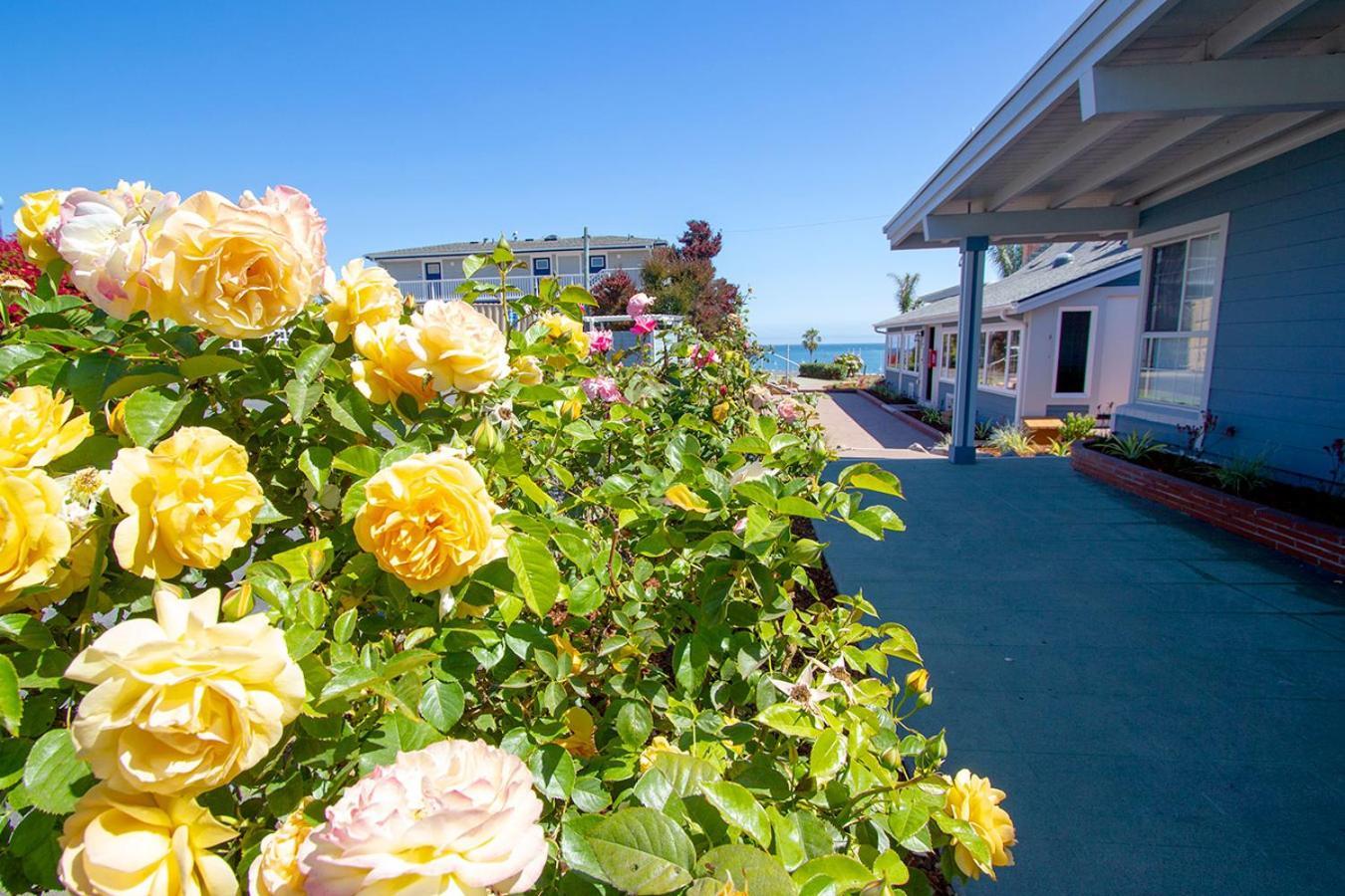 Edgewater Beach Inn Санта Круз Екстериор снимка